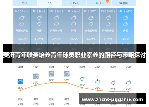 斐济青年联赛培养青年球员职业素养的路径与策略探讨