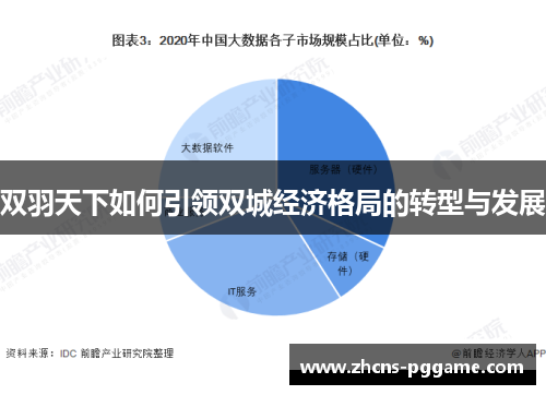 双羽天下如何引领双城经济格局的转型与发展