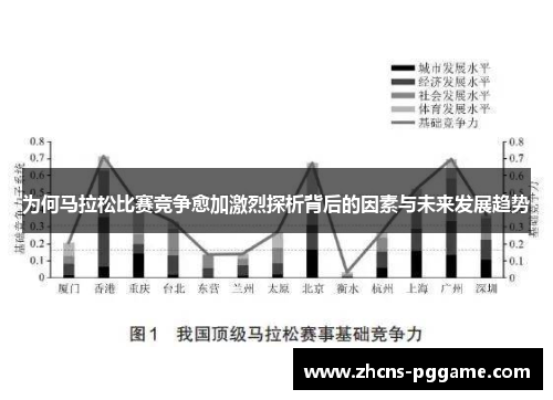 为何马拉松比赛竞争愈加激烈探析背后的因素与未来发展趋势