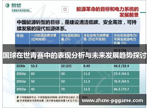 国球在世青赛中的表现分析与未来发展趋势探讨