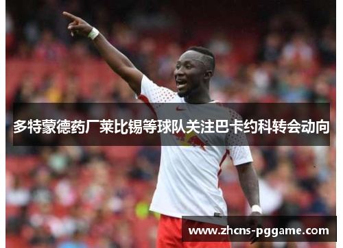 多特蒙德药厂莱比锡等球队关注巴卡约科转会动向
