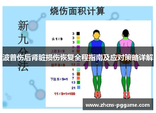 波普伤后肾脏损伤恢复全程指南及应对策略详解