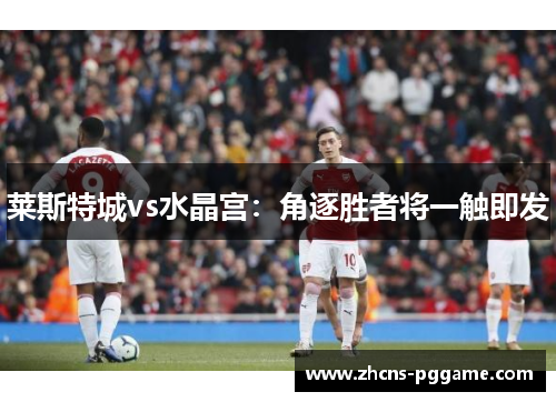 莱斯特城vs水晶宫:角逐胜者将一触即发 莱斯特城vs水晶宫:角逐胜者将一触即发