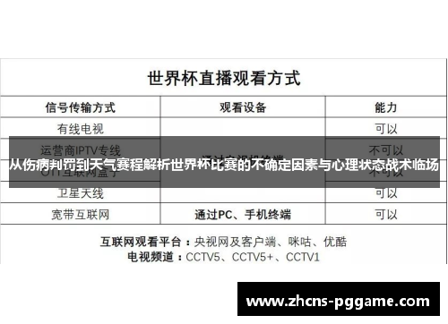 从伤病判罚到天气赛程解析世界杯比赛的不确定因素与心理状态战术临场